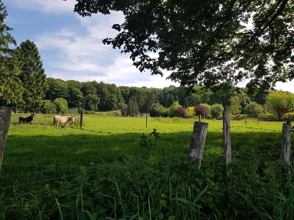 Gite En Lisiere De Foret Andaine Perrou Buitenkant foto