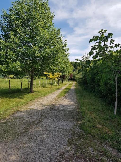 Gite En Lisiere De Foret Andaine Perrou Buitenkant foto